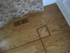 Ed Hoffman Floor Service: Image